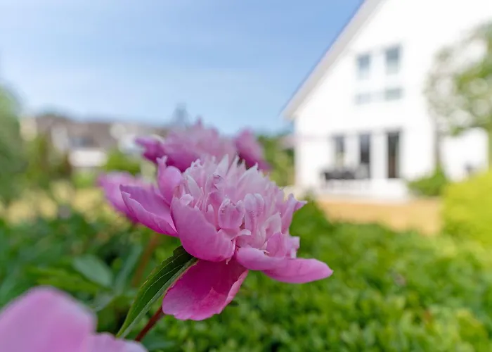Fasanenweg 8b Jelena * Kellenhusen